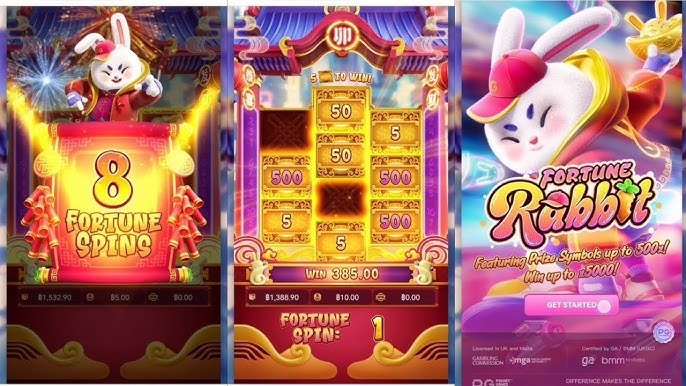 Cricket football and casino-style entertainment overview on 9 bad